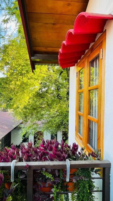 A Luxury Duplex In Dili City, Timor-Leste Luaran gambar